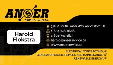 Anser Business Cards