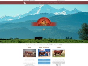 Website Design | SEO | Video | Domain Registration | Hosting | Emails | SSL<br />Launch <a href="http://www.coppertonefarms.ca/" title="Coppertone Farms" target="_blank" rel="noopener">website</a>
