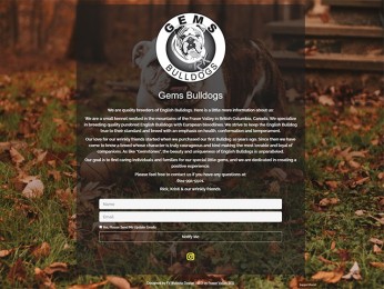 Website Design | SSL | Hosting